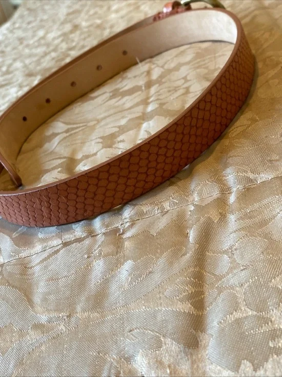 Isabel Marant Rust Brown Textured Goat Leather Belt - Picture 7 of 11